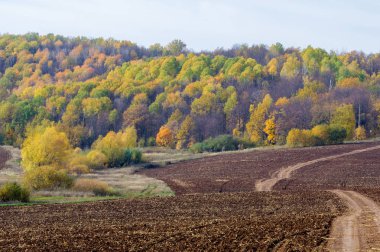 Sonbahar manzara sonbahar ekilebilir. arazi kullanılan ya bitkileri yetiştirme için uygundur. Bazen sonbahar Kuzey yarımkürede meydana unseasonably sıcak, Kuru hava bir süre pastırma yazı olduğunu.