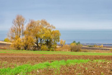 Sonbahar manzara. Orta yapraklı ve karışık orman. Doğa adam kış kar fırtınaları başlangıcından önce sakin ol, etraftaki dünyanın güzelliği sevinirler için harika bir fırsat veriyor..