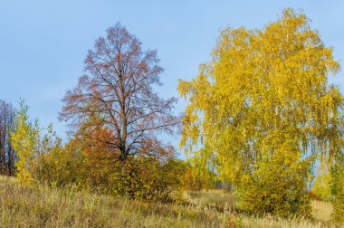 Sonbahar manzara. Orta yapraklı ve karışık orman. Doğa adam kış kar fırtınaları başlangıcından önce sakin ol, etraftaki dünyanın güzelliği sevinirler için harika bir fırsat veriyor..