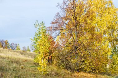 Sonbahar manzara. Orta yapraklı ve karışık orman. Doğa adam kış kar fırtınaları başlangıcından önce sakin ol, etraftaki dünyanın güzelliği sevinirler için harika bir fırsat veriyor..
