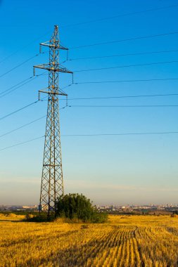 Doku, arka plan. Saman gelen buğday mowed. Gauss tarafından bulanık saman arka plan. Bu tasarımcılar için uygundur