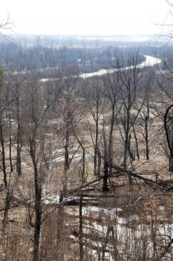 Bahar manzara. bahar sel önce nehrin taşkın yatağının