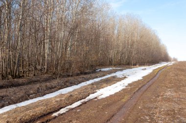 Bahar son kar. Toprak yolun son kar ile kaplı. Bu yıl harika zaman