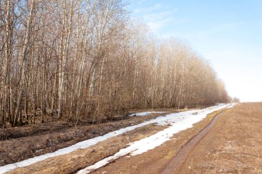 Bahar son kar. Toprak yolun son kar ile kaplı. Bu yıl harika zaman