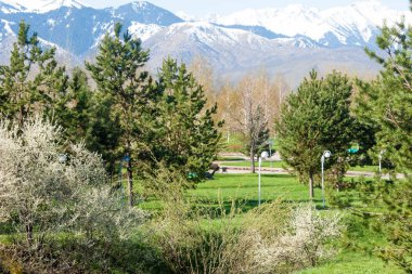 Kazakistan, erken bahar. Ülkenin ilk başkanı Park. Central park güneşli gün. güzel yeşil park