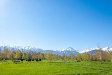 Kazakistan, erken bahar. Ülkenin ilk başkanı Park. Central park güneşli gün. güzel yeşil park