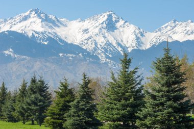 Kazakistan, erken bahar. Ülkenin ilk başkanı Park. Central park güneşli gün. güzel yeşil park