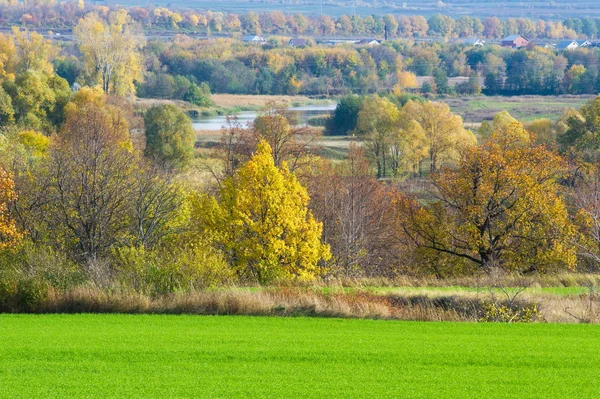 Sonbahar manzara. Yeşil genç buğday hububat ekili nehrin taşkın yatağının içinde kış bitkileri. Buğday, Kuru otların arasında dağ geçidi ile yeşil alan