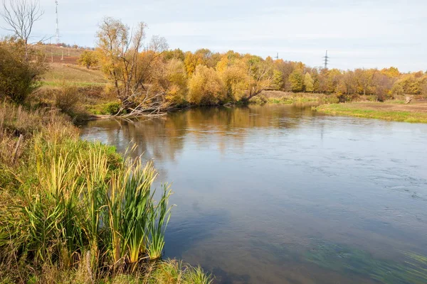 Sonbahar manzara. Nehir, farklı renkteki sonbahar ağaçlar. Eski Kuru ot. Şaşırtıcı derecede güzel manzara. Kış soğuk arifesinde üzgün zaman