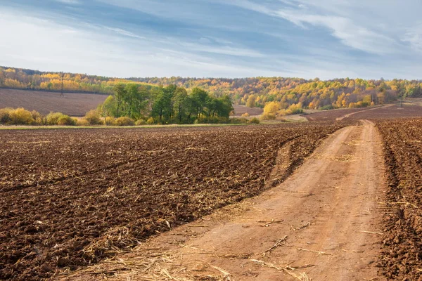 Sonbahar manzara. Kasım, karışık parke orman sonu. Bazen sonbahar Kuzey yarımkürede meydana unseasonably sıcak, Kuru hava bir süre pastırma yazı olduğunu. 