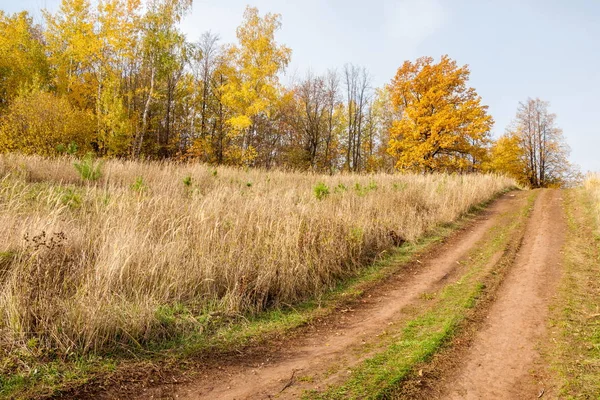 Sonbahar manzara. Kasım, karışık parke orman sonu. Bazen sonbahar Kuzey yarımkürede meydana unseasonably sıcak, Kuru hava bir süre pastırma yazı olduğunu. 