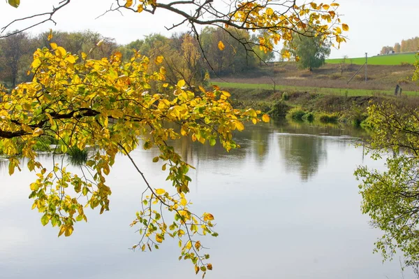 Podzimní Krajina Řeka Podzimní Stromy Různých Barev Staré Suché Trávy — Stock fotografie