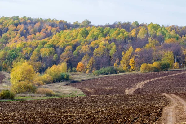 Sonbahar manzara sonbahar ekilebilir. arazi kullanılan ya bitkileri yetiştirme için uygundur. Bazen sonbahar Kuzey yarımkürede meydana unseasonably sıcak, Kuru hava bir süre pastırma yazı olduğunu.