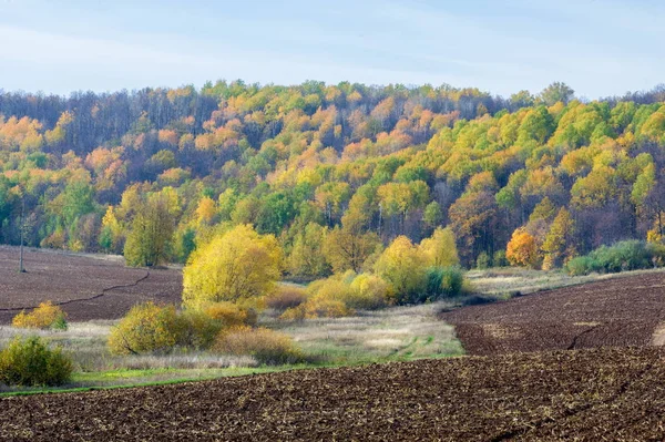Sonbahar manzara sonbahar ekilebilir. arazi kullanılan ya bitkileri yetiştirme için uygundur. Bazen sonbahar Kuzey yarımkürede meydana unseasonably sıcak, Kuru hava bir süre pastırma yazı olduğunu.