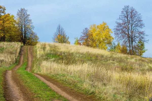 Sonbahar manzara. Orta yapraklı ve karışık orman. Doğa adam kış kar fırtınaları başlangıcından önce sakin ol, etraftaki dünyanın güzelliği sevinirler için harika bir fırsat veriyor..