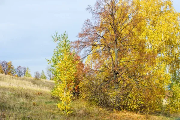 Sonbahar manzara. Orta yapraklı ve karışık orman. Doğa adam kış kar fırtınaları başlangıcından önce sakin ol, etraftaki dünyanın güzelliği sevinirler için harika bir fırsat veriyor..