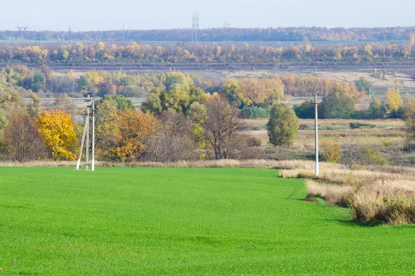 Sonbahar manzara. Yeşil genç buğday hububat ekili nehrin taşkın yatağının içinde kış bitkileri. Buğday, Kuru otların arasında dağ geçidi ile yeşil alan