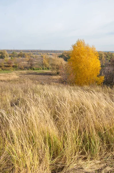Sonbahar manzara. Orta yapraklı ve karışık orman. Doğa adam kış kar fırtınaları başlangıcından önce sakin ol, etraftaki dünyanın güzelliği sevinirler için harika bir fırsat veriyor..
