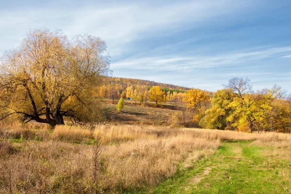 Sonbahar manzara. Orta yapraklı ve karışık orman. Doğa adam kış kar fırtınaları başlangıcından önce sakin ol, etraftaki dünyanın güzelliği sevinirler için harika bir fırsat veriyor..