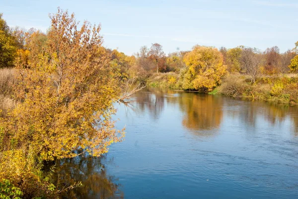 Sonbahar manzara. Nehir, farklı renkteki sonbahar ağaçlar. Eski Kuru ot. Şaşırtıcı derecede güzel manzara. Kış soğuk arifesinde üzgün zaman