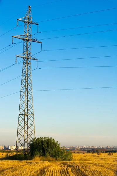 Doku, arka plan. Saman gelen buğday mowed. Gauss tarafından bulanık saman arka plan. Bu tasarımcılar için uygundur