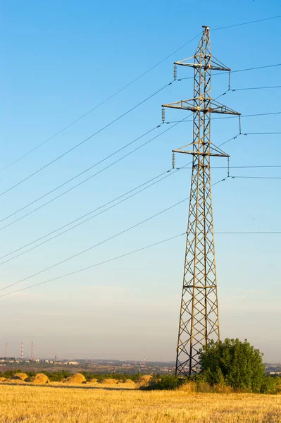 Doku, arka plan. Saman gelen buğday mowed. Gauss tarafından bulanık saman arka plan. Bu tasarımcılar için uygundur