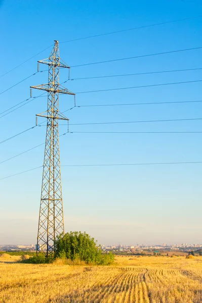 Doku, arka plan. Saman gelen buğday mowed. Gauss tarafından bulanık saman arka plan. Bu tasarımcılar için uygundur