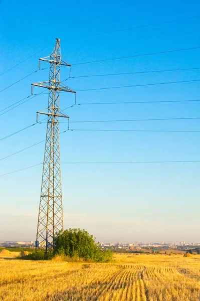 Doku, arka plan. Saman gelen buğday mowed. Gauss tarafından bulanık saman arka plan. Bu tasarımcılar için uygundur