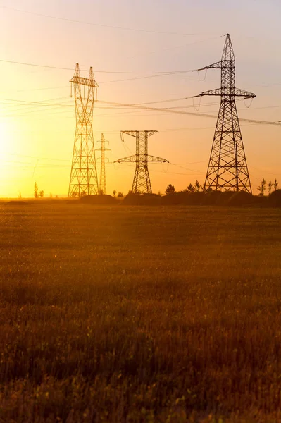 Yüksek gerilim enerji nakil hattı. Enerji ayağı. Gün batımı, şafakta. Elektrik