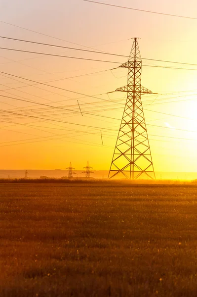 Yüksek gerilim enerji nakil hattı. Enerji ayağı. Gün batımı, şafakta. Elektrik