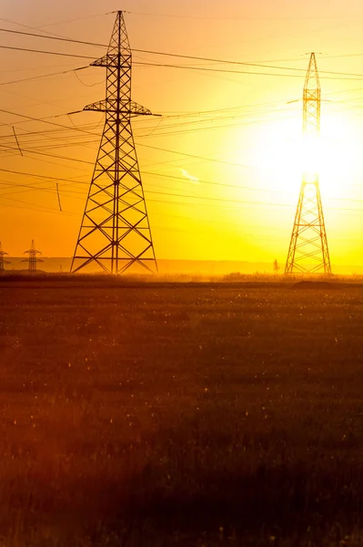 Yüksek gerilim enerji nakil hattı. Enerji ayağı. Gün batımı, şafakta. Elektrik