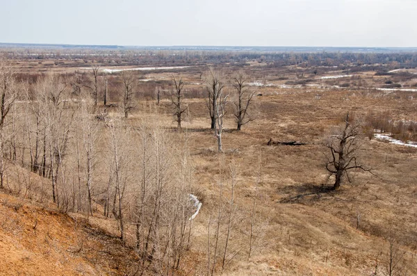 Paisaje Primavera Llanura Inundable Del Río Antes Inundación Primavera — Foto de Stock