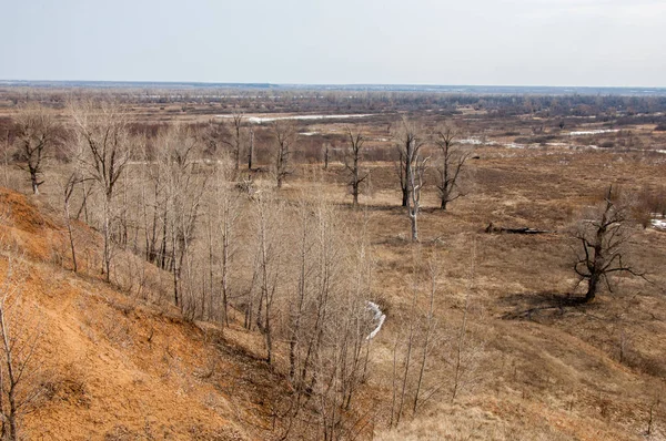 Paisaje Primavera Llanura Inundable Del Río Antes Inundación Primavera — Foto de Stock