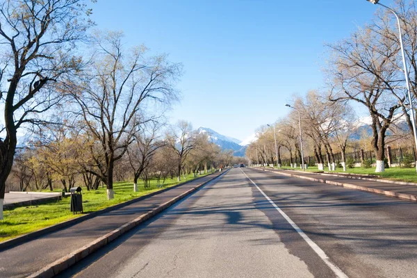 Cazaquistão Dulati Street Tien Shan Mountains Early Spring Árvores Sem — Fotografia de Stock