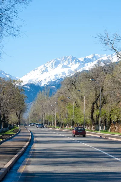 Kazajstán Dulati Street Tien Shan Mountains Early Spring Árboles Sin —  Fotos de Stock