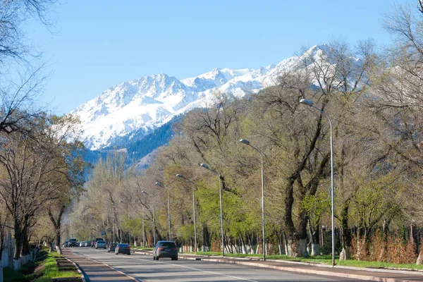 Kazachstan Dulati Street Tien Shan Góry Wczesną Wiosną Drzewa Bez — Zdjęcie stockowe