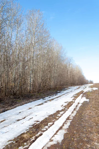 Bahar son kar. Toprak yolun son kar ile kaplı. Bu yıl harika zaman
