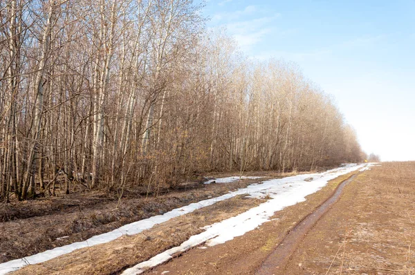 Bahar son kar. Toprak yolun son kar ile kaplı. Bu yıl harika zaman