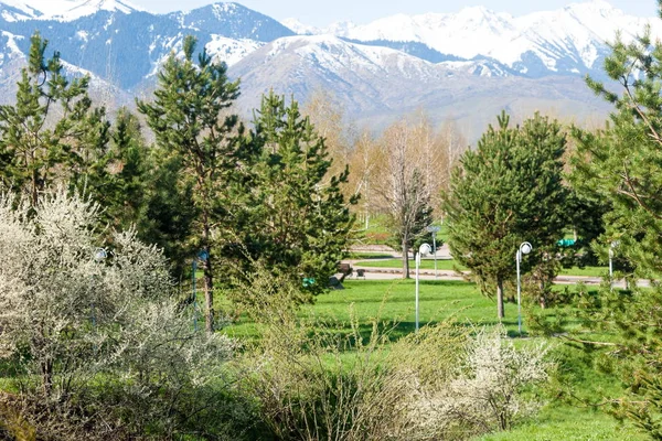 Kazakistan, erken bahar. Ülkenin ilk başkanı Park. Central park güneşli gün. güzel yeşil park
