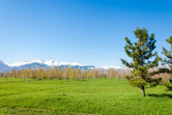 Kazakhstan Early Spring Park First President Country Central Park Sunny — Stock Photo, Image