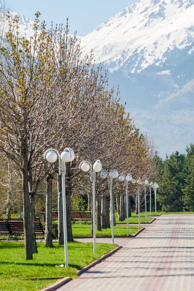 Kazakistan, erken bahar. Ülkenin ilk başkanı Park. Central park güneşli gün. güzel yeşil park