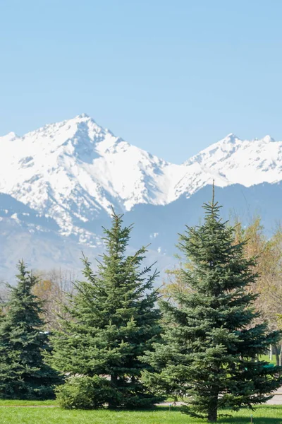 Kazakistan, erken bahar. Ülkenin ilk başkanı Park. Central park güneşli gün. güzel yeşil park