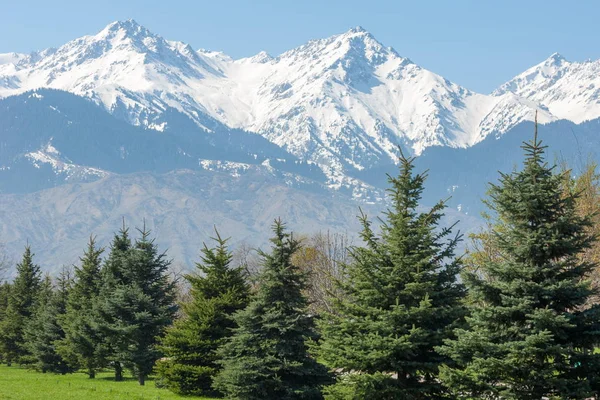 Kazakistan, erken bahar. Ülkenin ilk başkanı Park. Central park güneşli gün. güzel yeşil park