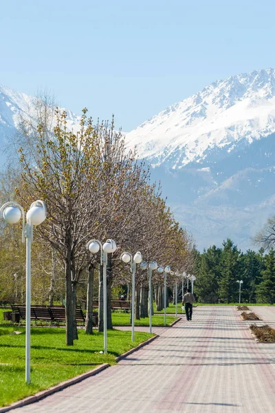 Kazakistan, erken bahar. Ülkenin ilk başkanı Park. Central park güneşli gün. güzel yeşil park