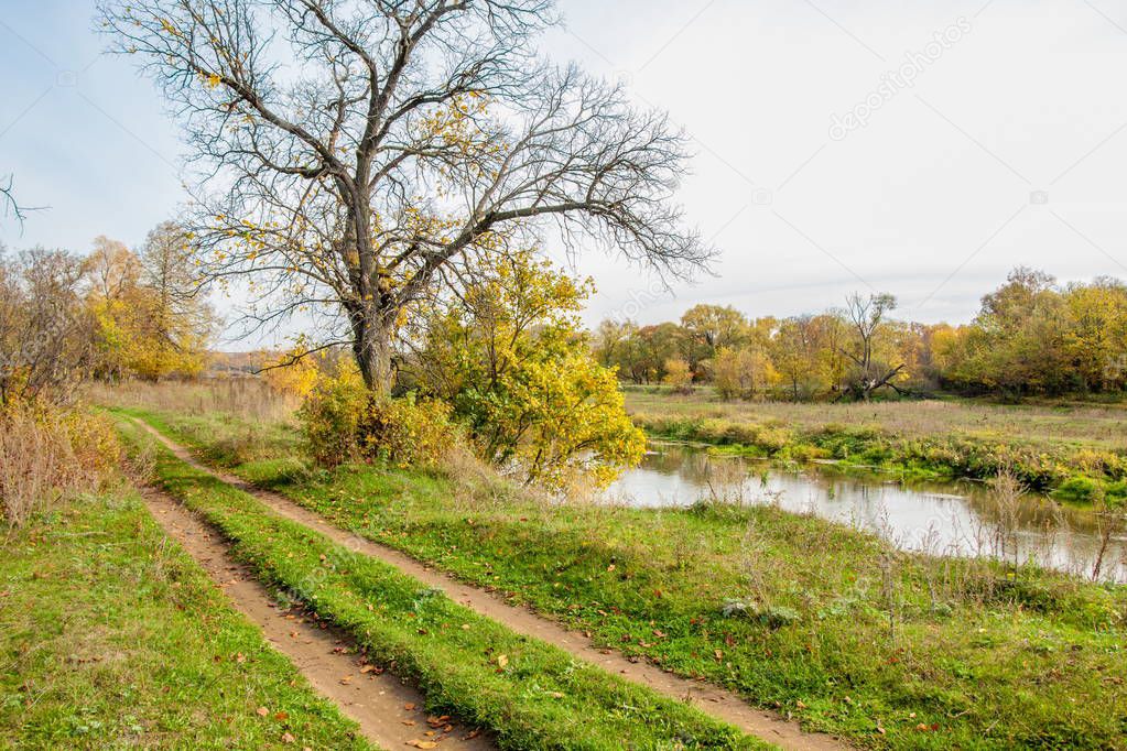 Autumn landscape. River, autumn trees of different colors. The old dry grass. Surprisingly beautiful landscape. Sad time, on the eve of winter cold