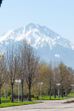 Kazakistan, erken bahar. Ülkenin ilk başkanı Park. Central park güneşli gün. güzel yeşil park