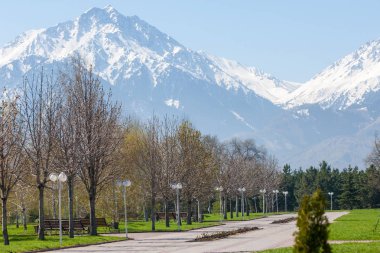Kazakistan, erken bahar. Ülkenin ilk başkanı Park. Central park güneşli gün. güzel yeşil park