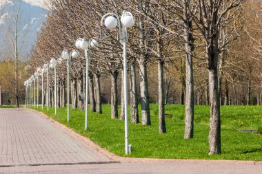 Kazakistan, erken bahar. Ülkenin ilk başkanı Park. Central park güneşli gün. güzel yeşil park