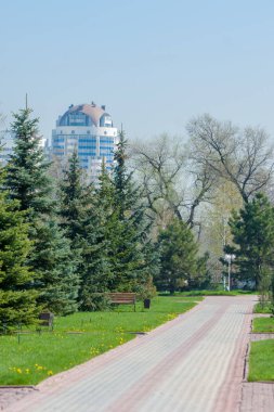 Kazakistan, erken bahar. Ülkenin ilk başkanı Park. Central park güneşli gün. güzel yeşil park