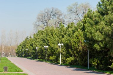 Kazakistan, erken bahar. Ülkenin ilk başkanı Park. Central park güneşli gün. güzel yeşil park